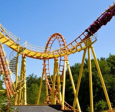 a roller coasterer roller coasterer in a park