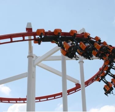 a roller coaster coaster