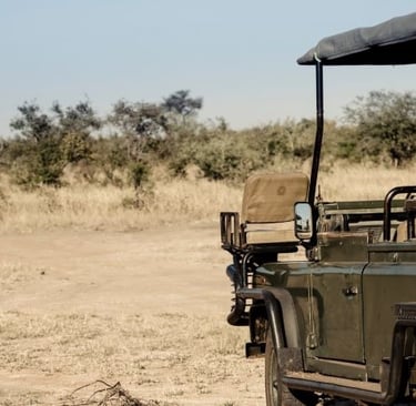a safari vehicle with a safari vehicle in the background