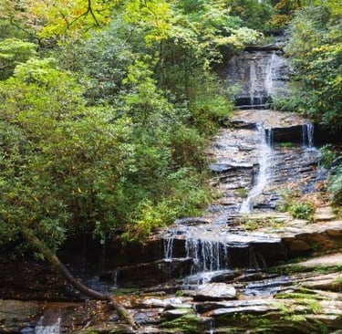 Great smoky mountains national park