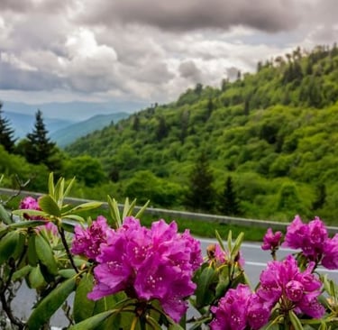 Great smoky mountains national park