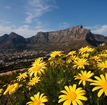 Table Mountain