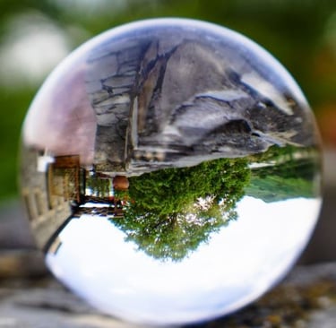 a glass ball with a tree in the middle of it - UPSIDE DOWN