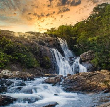 a waterfall in the middle of a forest