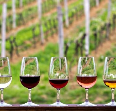 a row of wine glasses with wine glasses on them