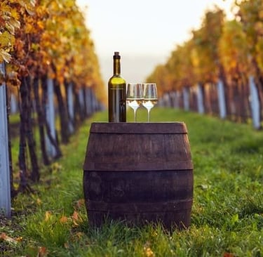 wine bottles and wine glasses on a vineyard