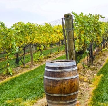 a barrel of wine in a vineyard