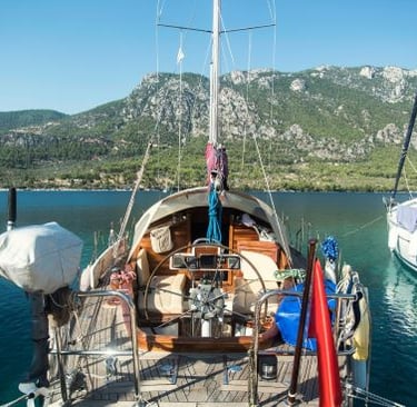 a boat in the water with a mountain in the background