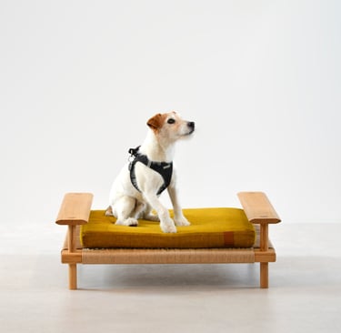 Bespoke Luxury dog bed in oak and danish paper cord Edinburgh Scotland