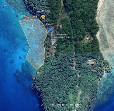 a map of a small island with a yellow line of a yellow line of a