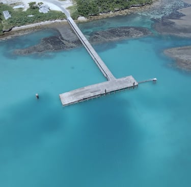 a bridge over a body of water