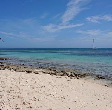 a beach with a boat in the water
