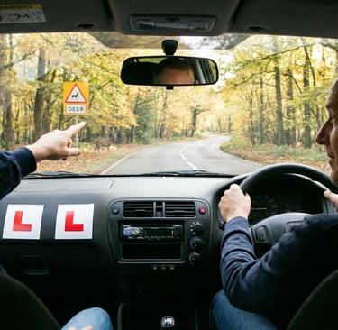 Driving instructor in Loughton pointing out road hazards to a learner driver near Epping Forest