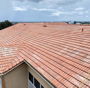 ROOF SOFT WASHING 