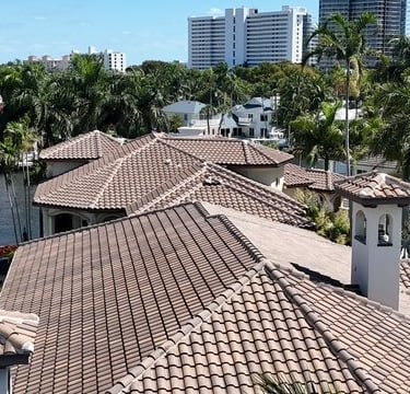 roof soft washing before and after fort lauderdale coastal home roof cleaning 