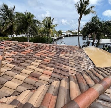 tile roof soft washing services
