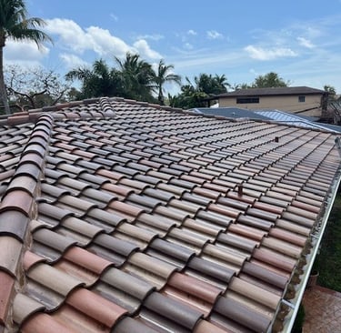 roof sealing services