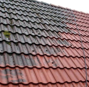 roof soft washing no pressure