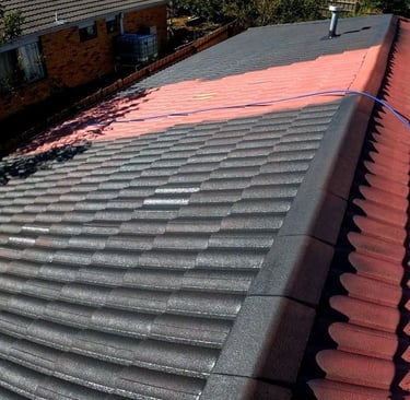 tile roof painting services
