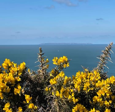 Lundy island off the coast in Woolacombe bay