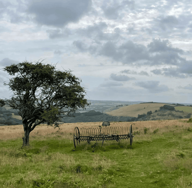 Exmoor