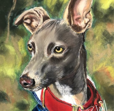 CBM Art dog in winter coat