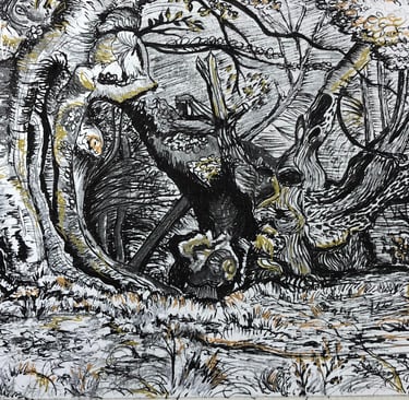 CBM Art Ancient Trees in the style of Samual Parker Pen and ink