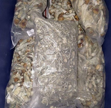 Buying Magic Mushrooms in Edmonton Canada