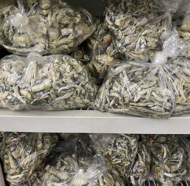 https://magicmushroomscanada.org/shop
