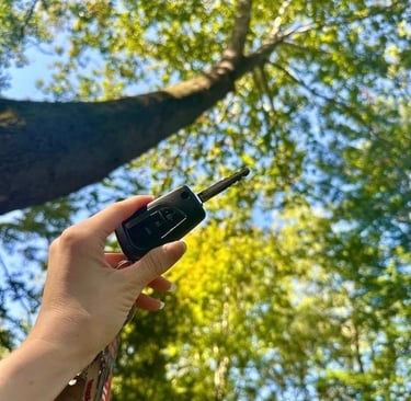 Hand holding a car key fob with treetops in the background, representing auto locksmith services