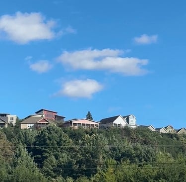 Homes along a Ridgeline above the tree in Weaverville, North Carolina