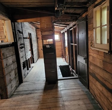 Hazardous materials like asbestos and mold are serious concerns for homeowners and property managers