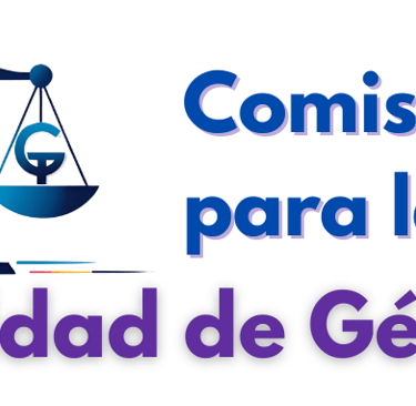 Comisión para la igualdad de género IEIPE