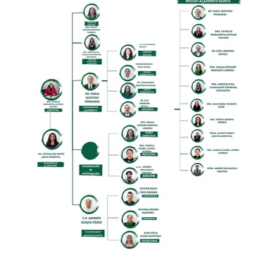 Organigrama del IEIPE