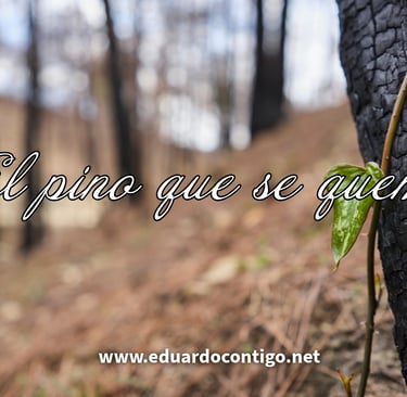 REFLEXIONES EDUARDO CONTIGO