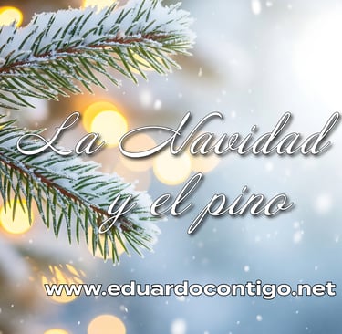 La navidad y el pino - Reflexiones Eduardo Contigo