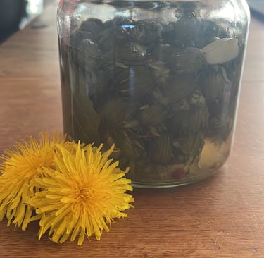 Kapern aus Löwenzahn-Blühten-Knospen