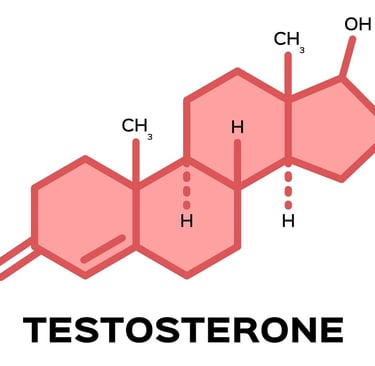 Image showing Testosterone in Women: Role in Menopause and Aging concept