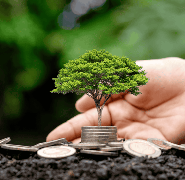 Hemp and the circular economy