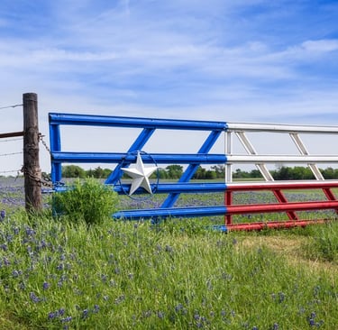 Texas Flag painted fence - grass fed beef