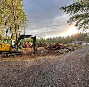 Land Clearing — Selective clearing, brush removal, forestry mulching.