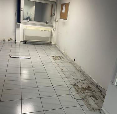 Nettoyage professionnel et transformation avant / après