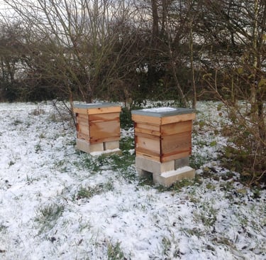 two beehives in the snow