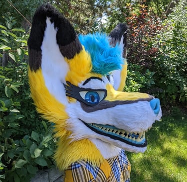 A yellow coyote fursuit featuring a full jaw set of silicone teeth and big ears as well as glow in the dark parts From Teto