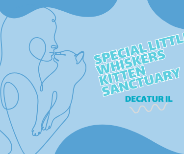 A woman in a banner for Special Little Whiskers Kitten Sanctuary