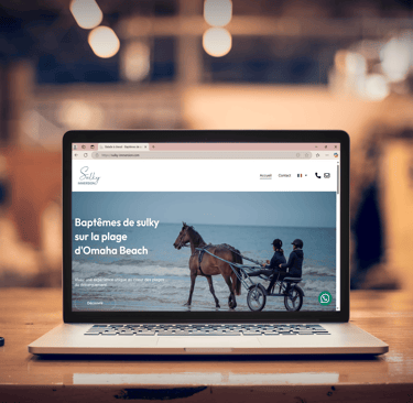 Création site internet Sulky Immersion