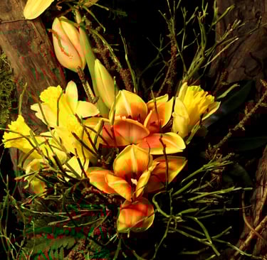 Floristikos paslaugos Klaipėdoje