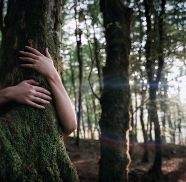 Hugging Trees Canada