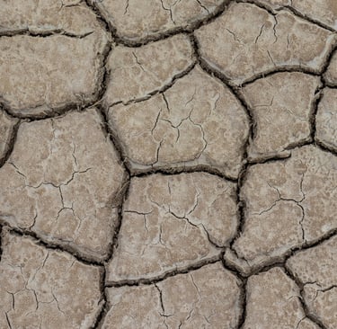 dry ground