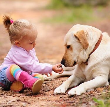 a baby girl sitting on the ground with her dog
